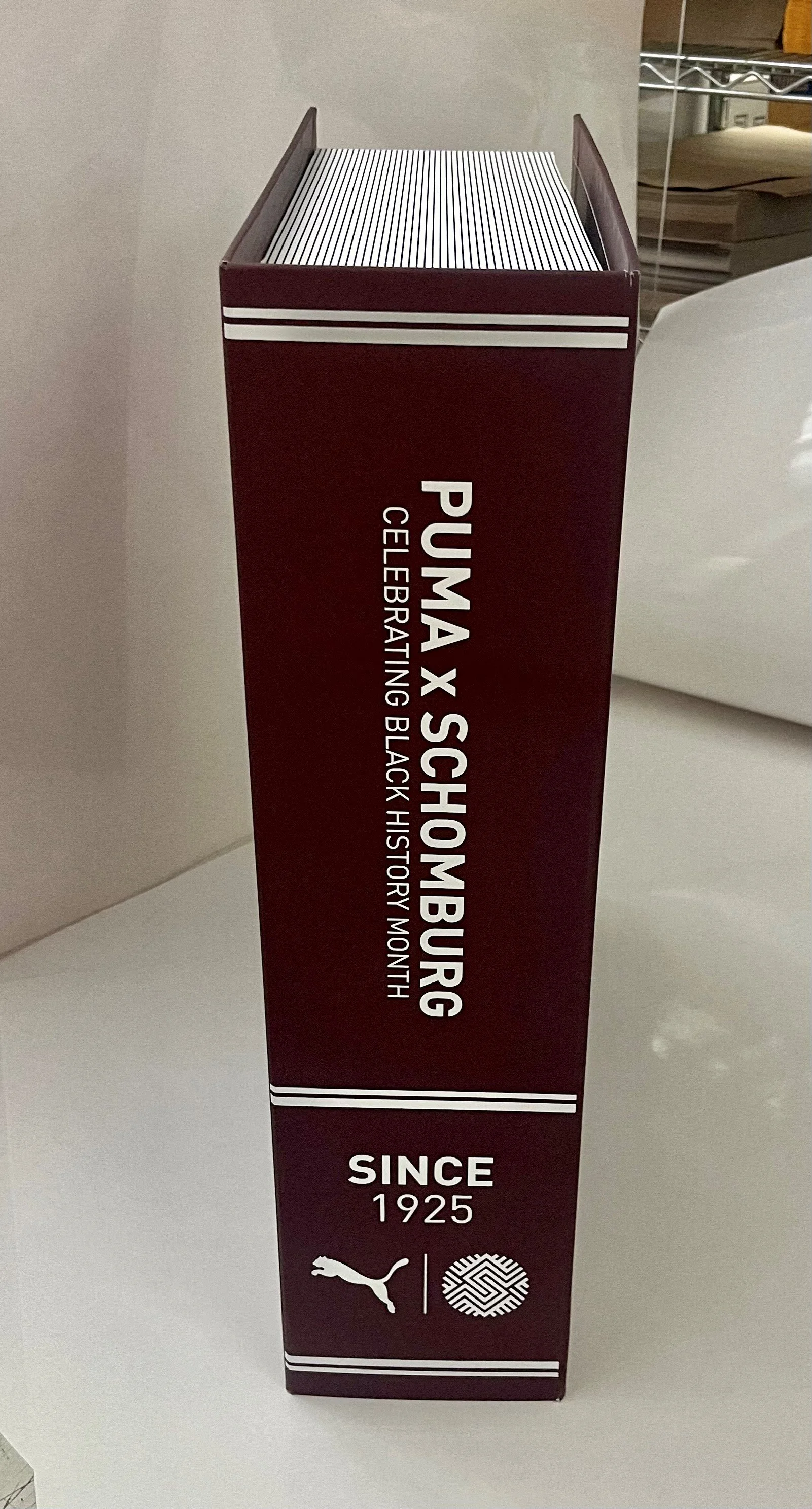 Picture- PUMA Proto 8.jpg