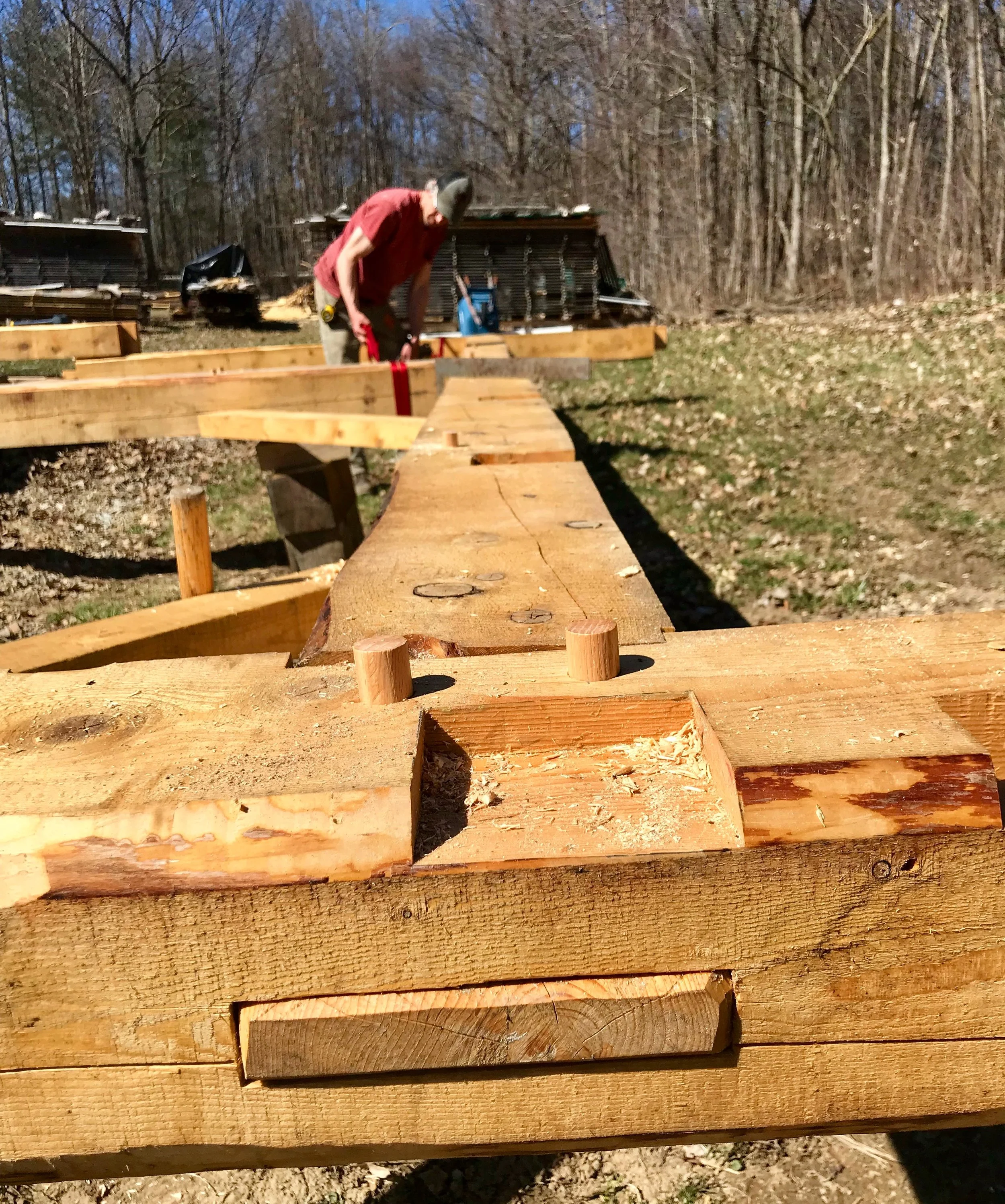 Timber closeup.JPG