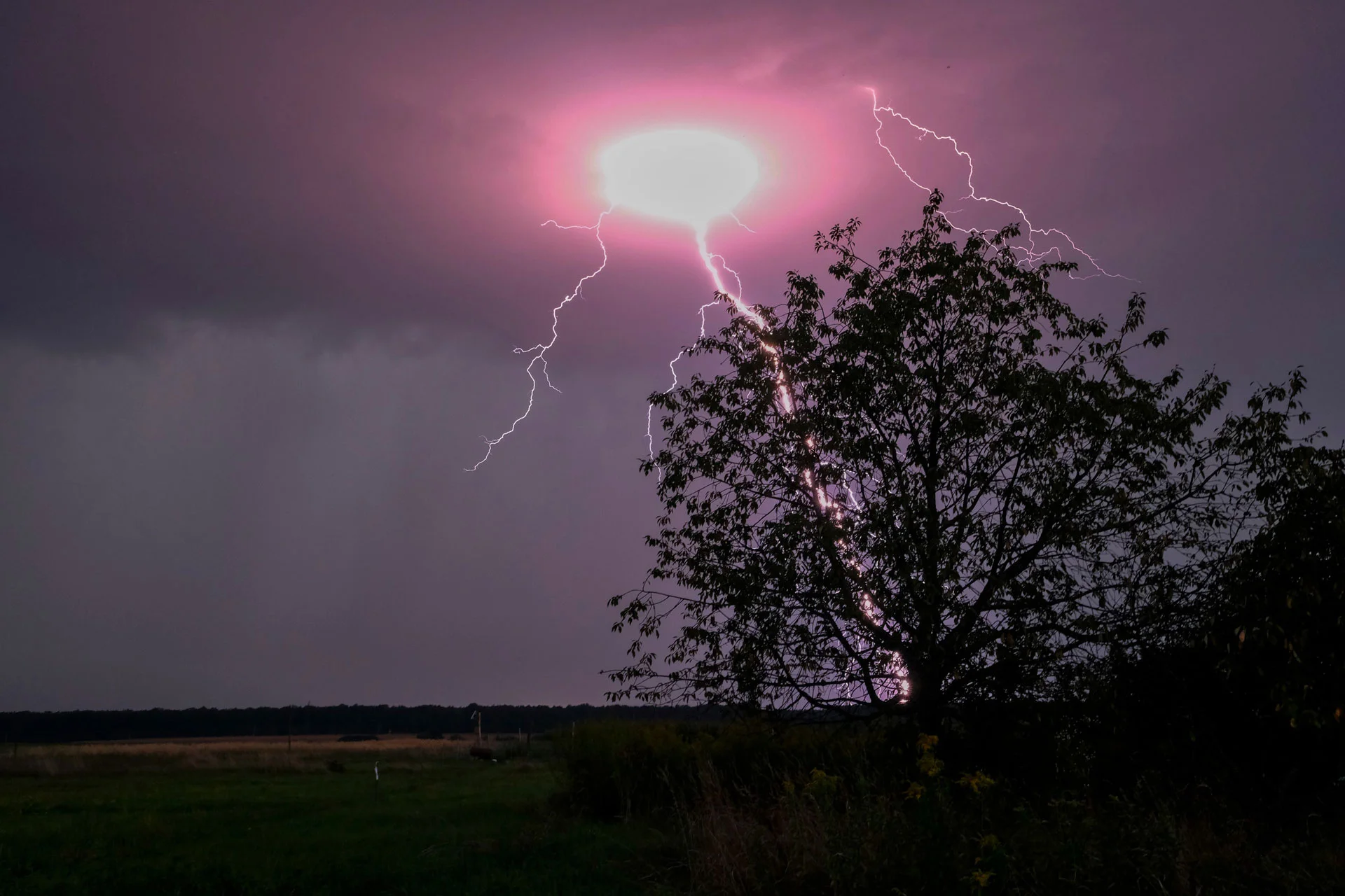 lightning.jpg