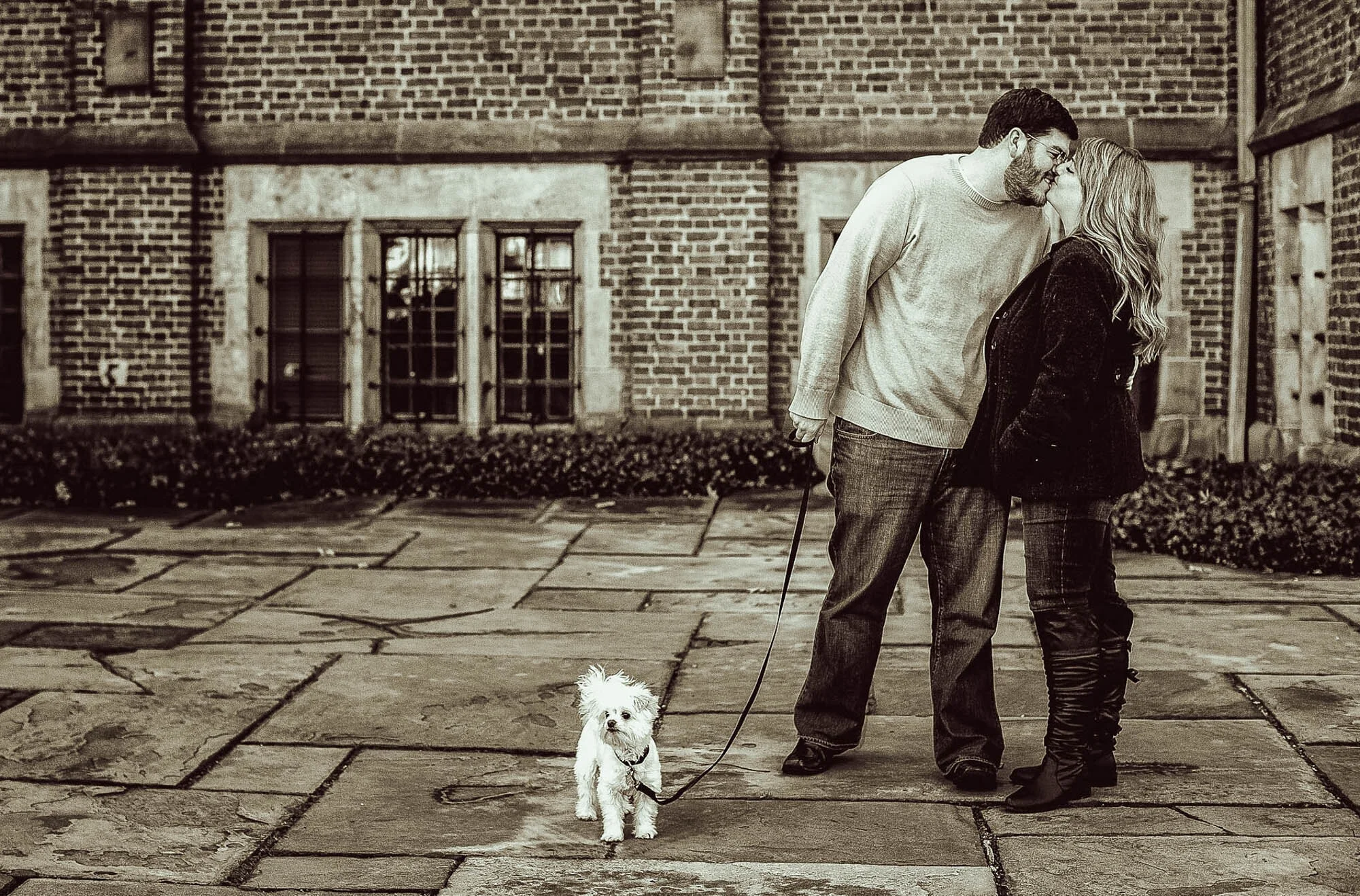 couple kssing with dog.jpg