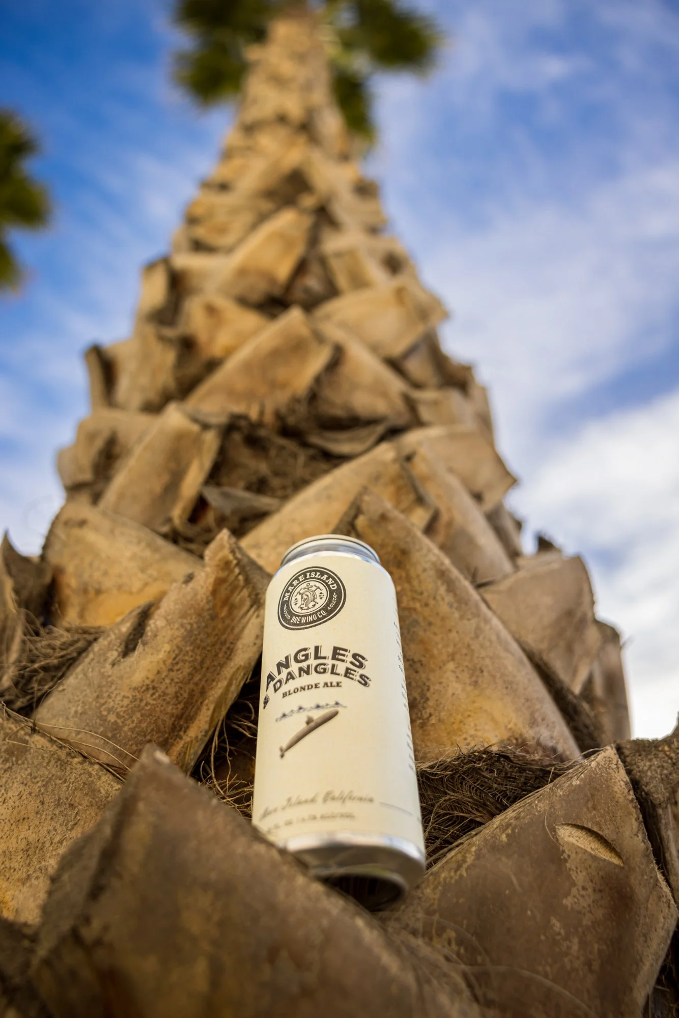 Mare Island Brewing Branding Photography