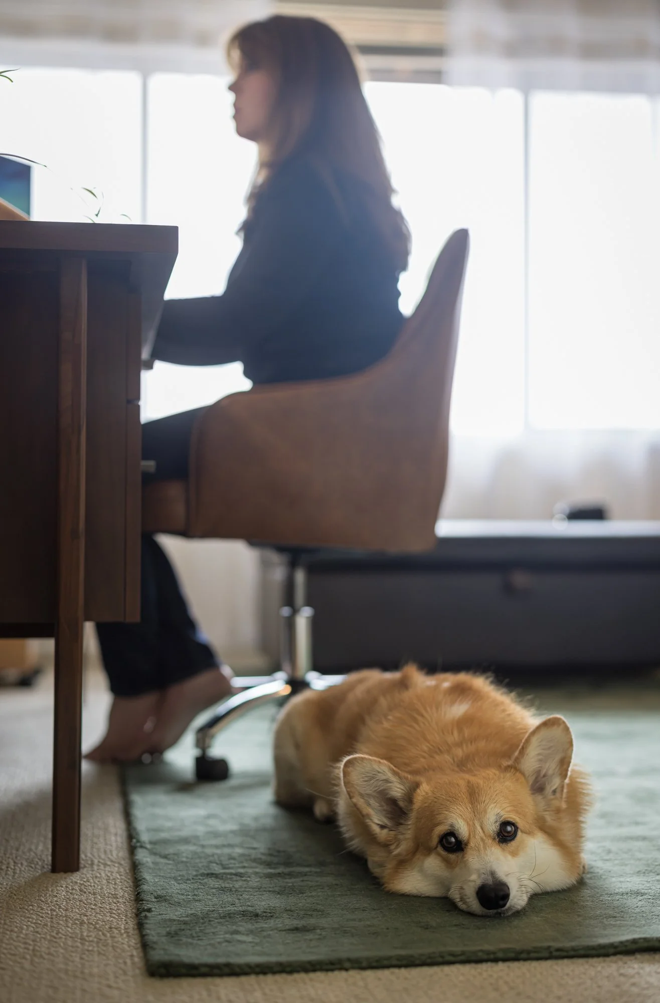 Woman in home office with dog