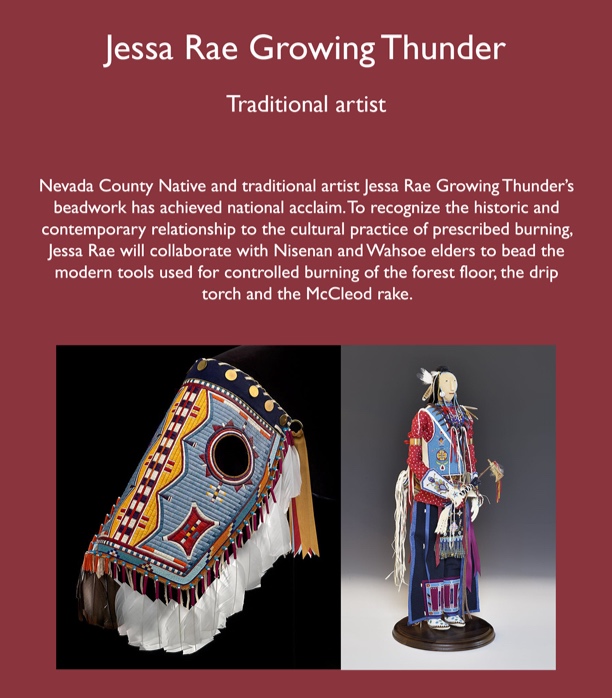Jessa_Rae_Growing_Thunder_dscrptn.jpg