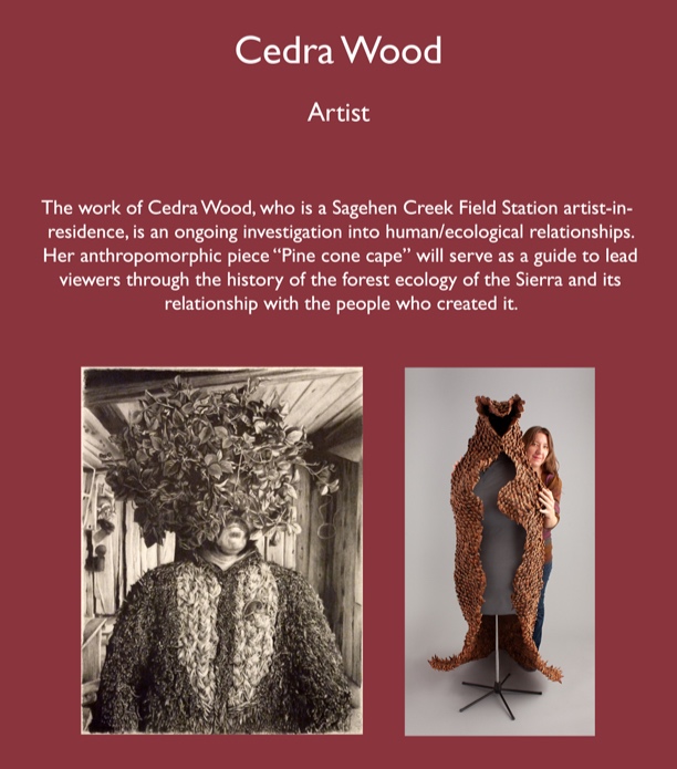 Cedra_Wood_dscrptn_V2.jpg