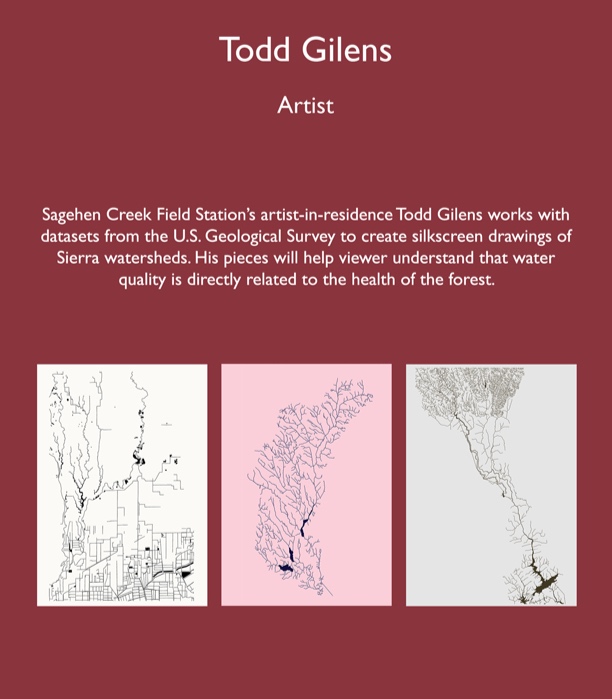 Todd_Gilens_dscrptn.jpg