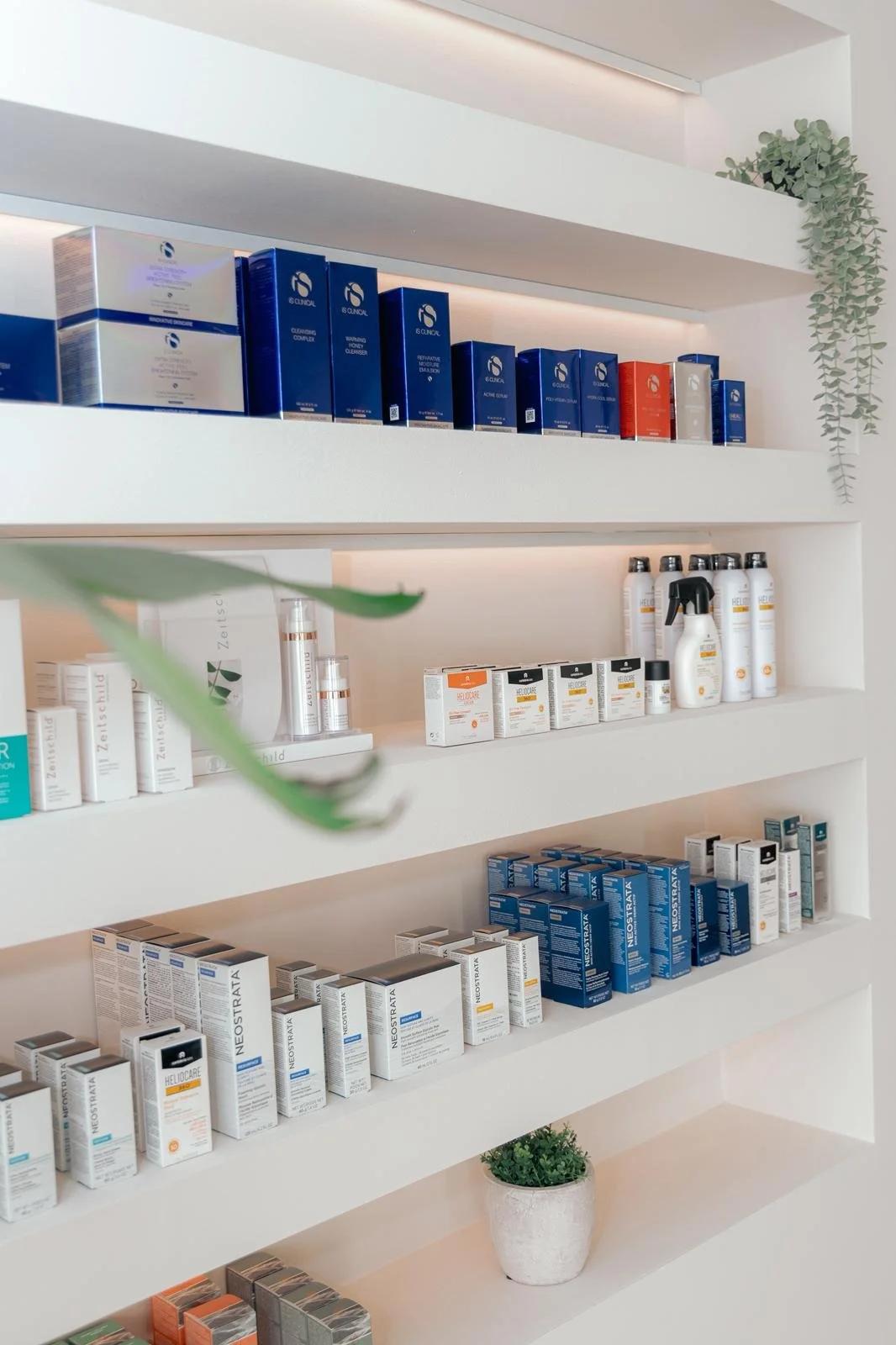 WhatsApp Image 2026-01-30 at 15.10.32.jpeg