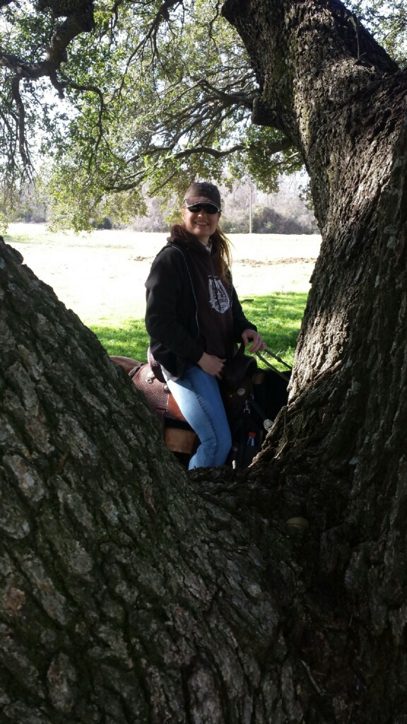 Me in a Tree.jpg