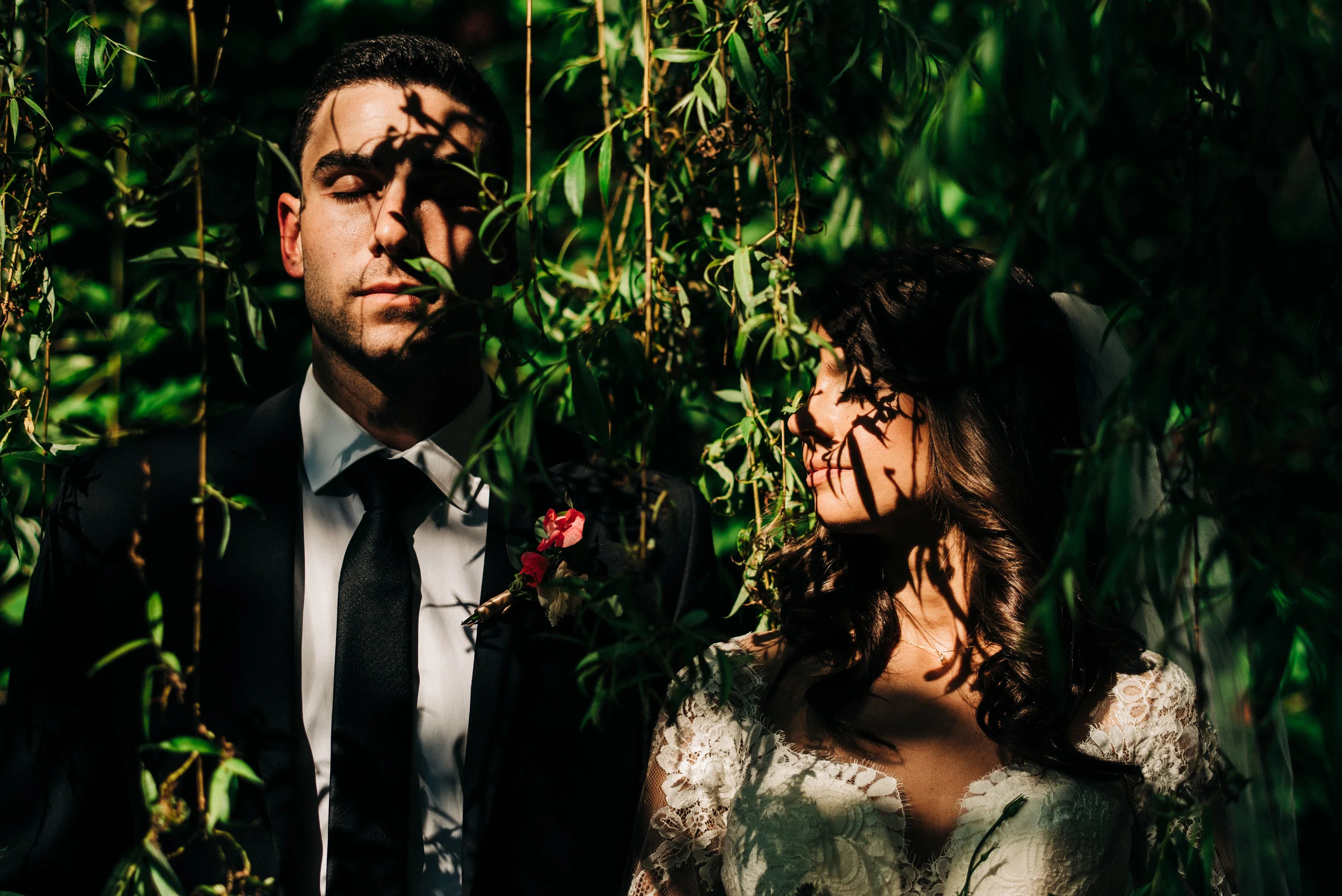  Photographer:  Andy Shepard    https://www.instagram.com/andyshepardphoto/  