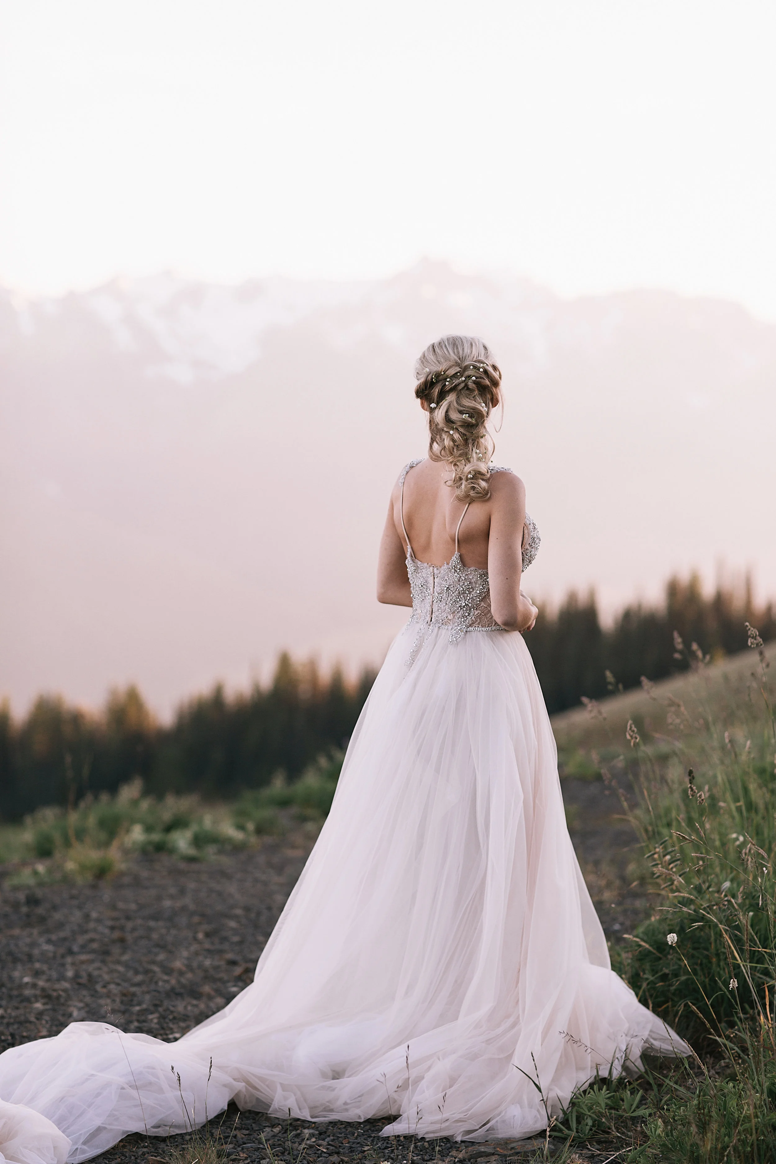  Photographer:  Lionlady Photography ‍  ‍   https://www.lionladyphoto.com/  