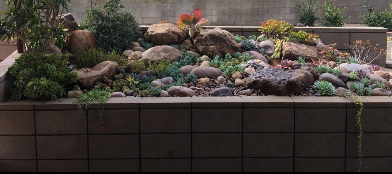  Stone Succulent Garden at Manasse 
