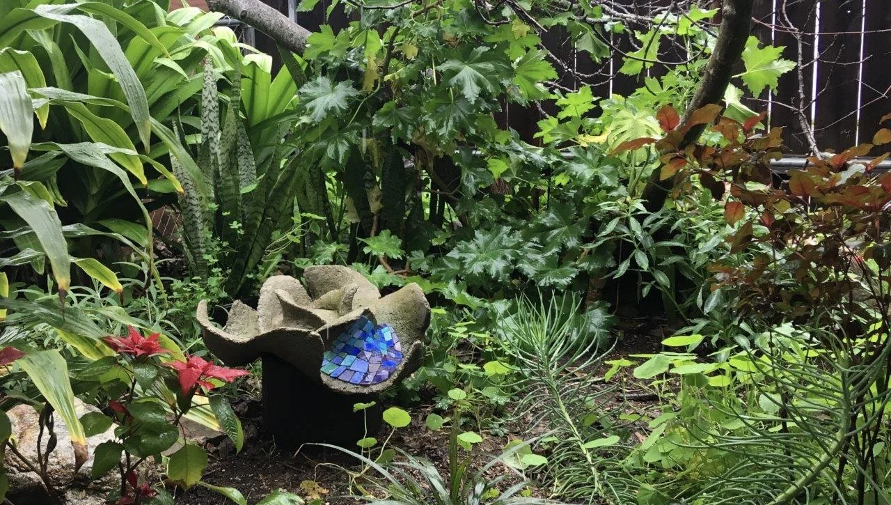  Teo’s Garden 