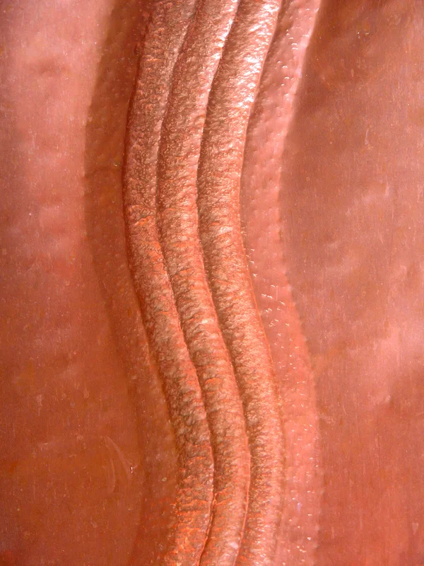 3111444_orig.jpg
