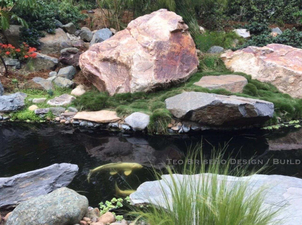   Click here or photo to view  Chris and Corina Landscape   