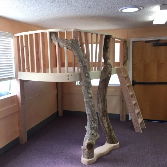  Click here to view more on the   Kindergarten Loft Project   