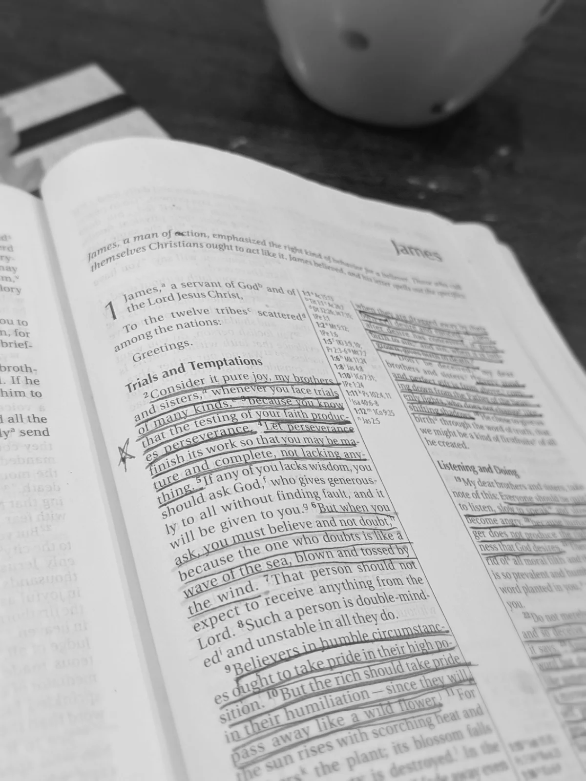 Pursuing Joy