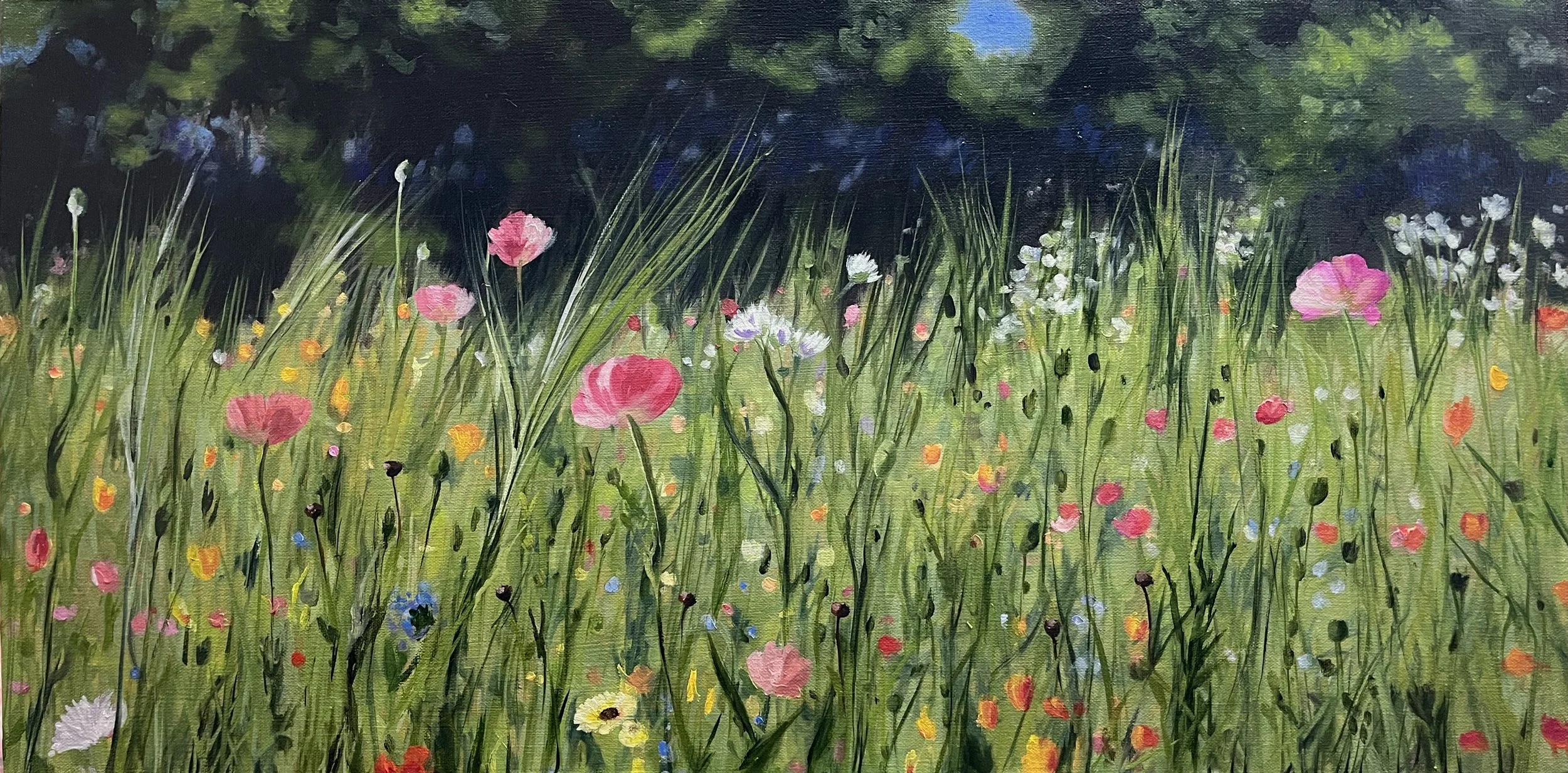 Colourfield - Oil on Canvas - $1300