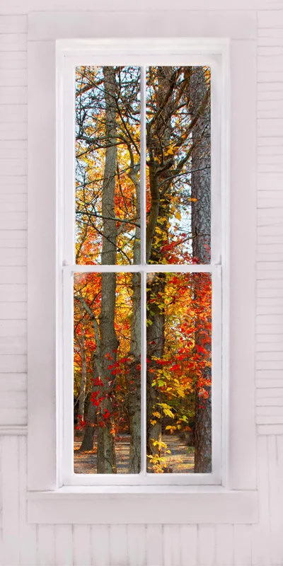 use-this-one-fall-with-white-window-new-tree-287A7472-and-287A9381.jpg
