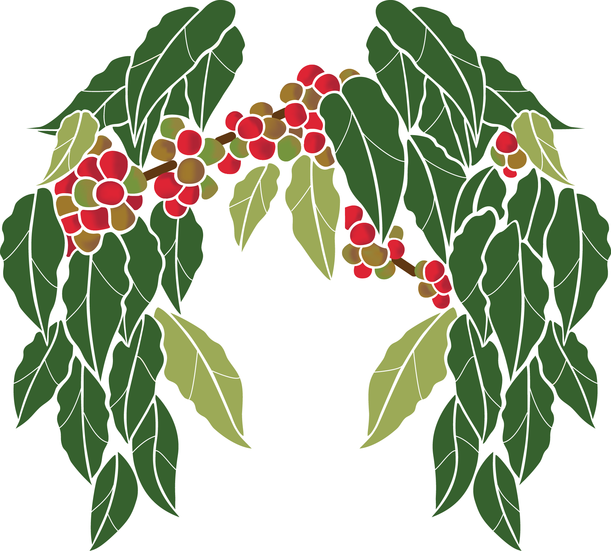 coffeee tree.png