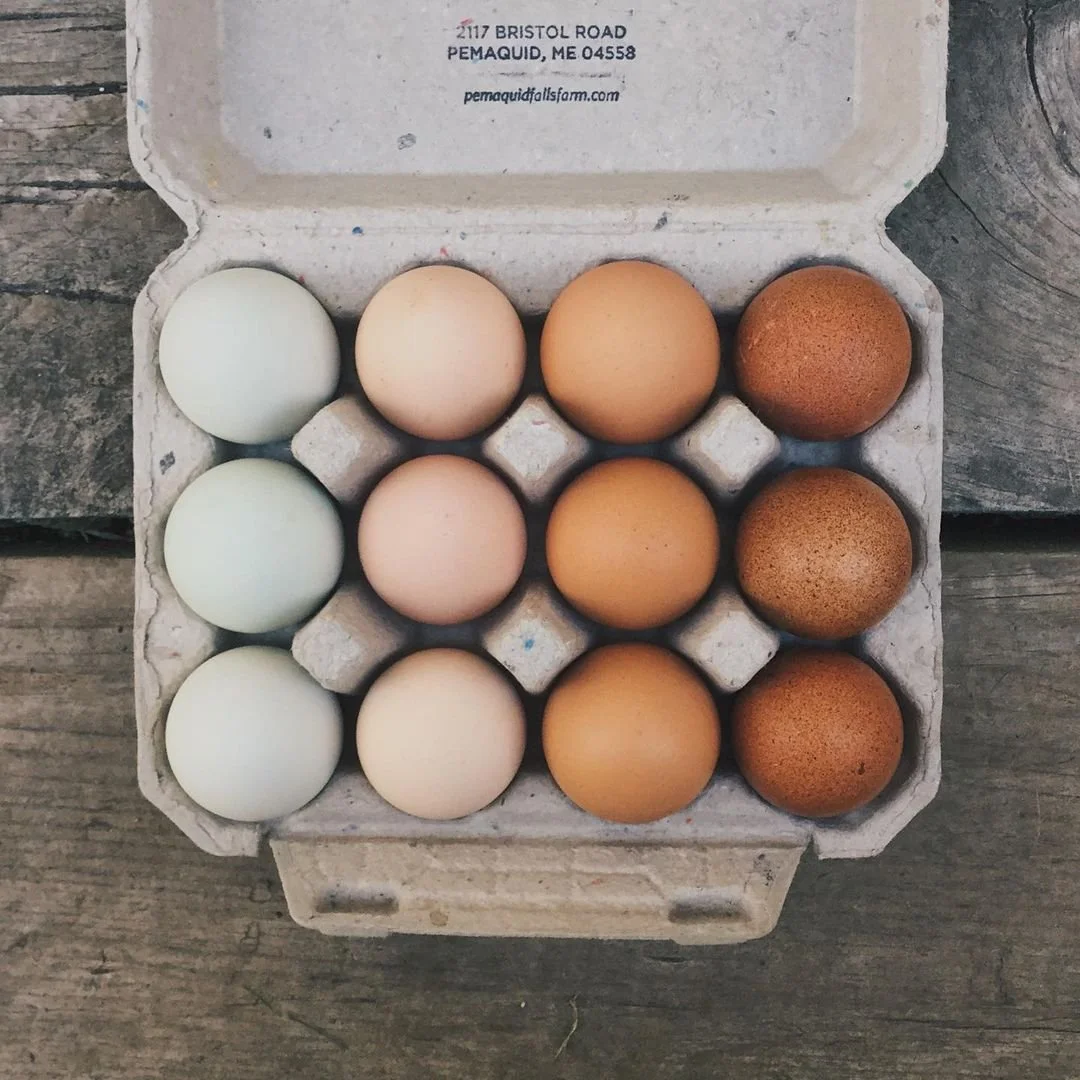 eggs.jpeg