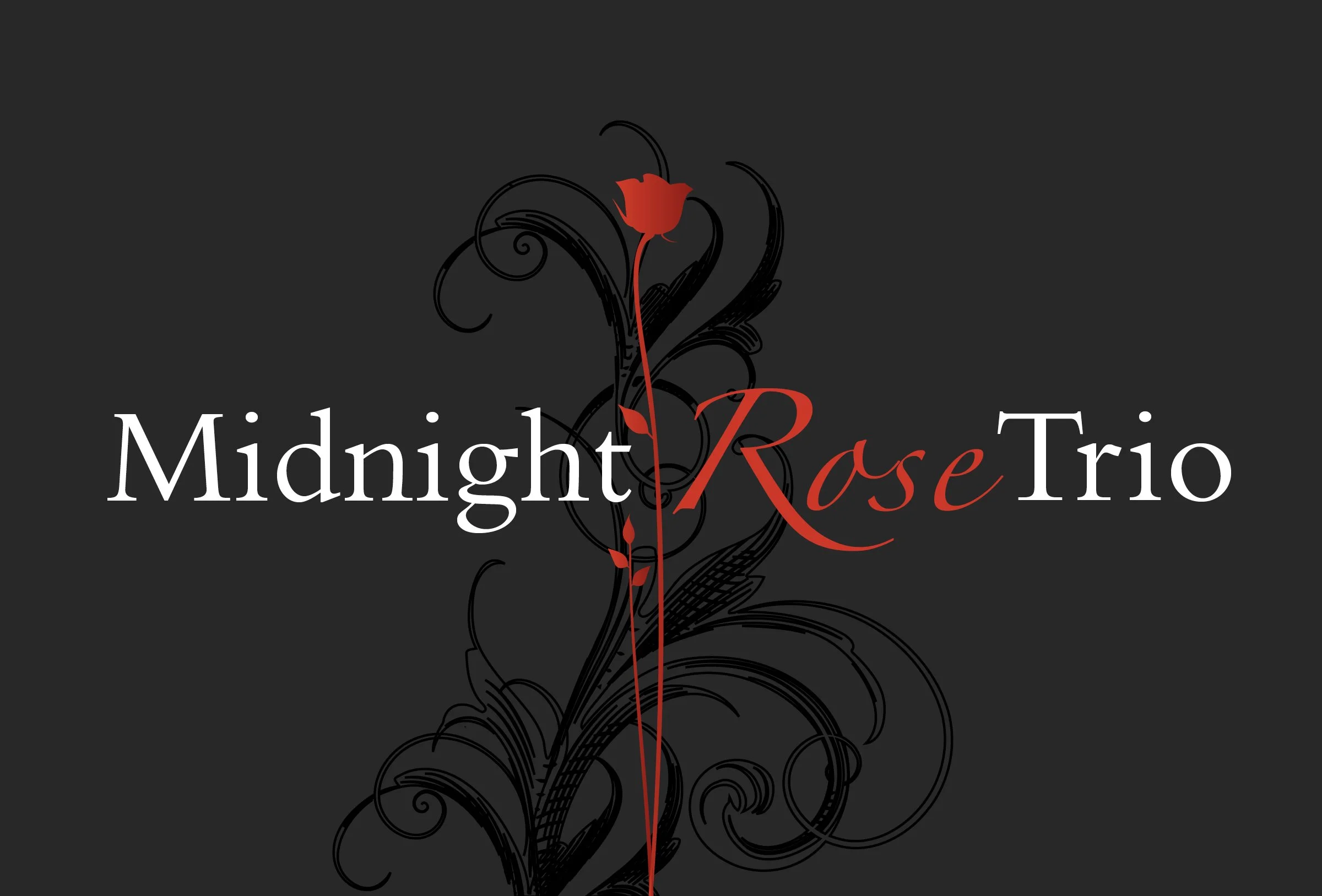 Banner black - L.jpg