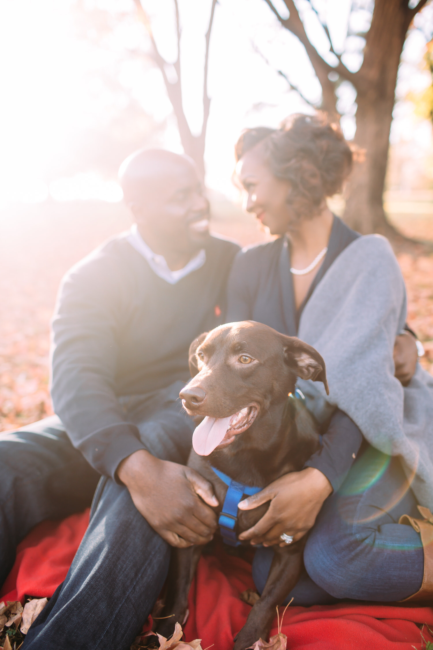 St Louis Fall Engagement session with dog