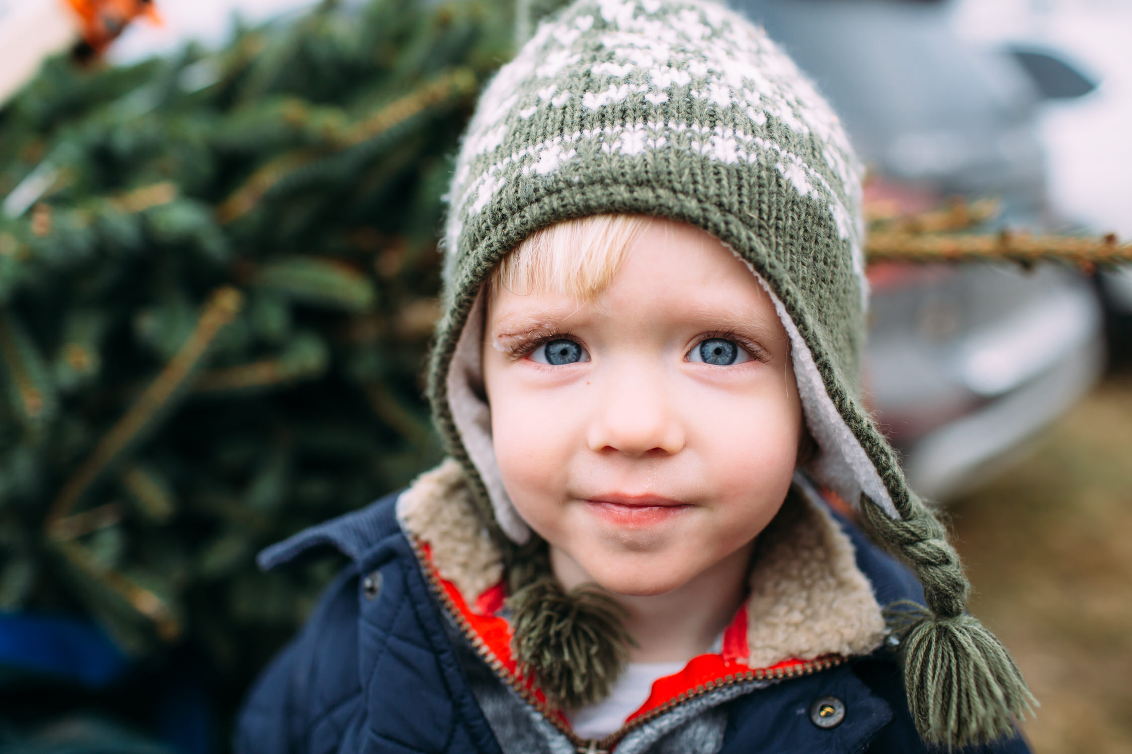 Christmas tree farm photos, Connecticut Family photographer