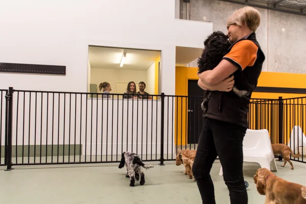 DOGCITY WEBSITE-10.jpg