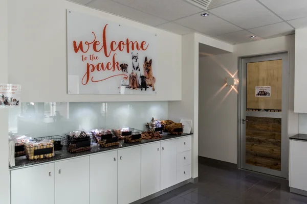 DOGCITY WEBSITE-2.jpg