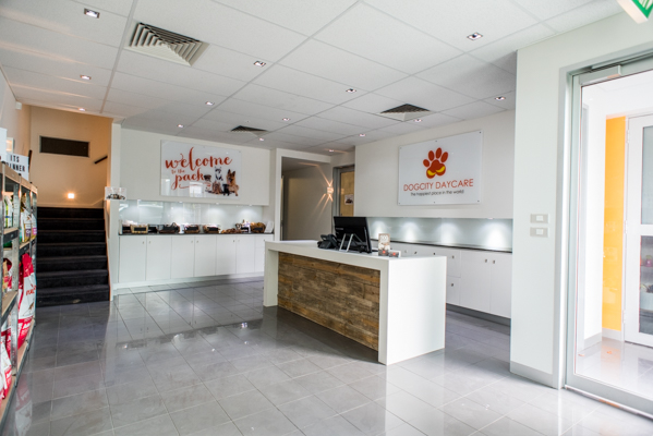 DOGCITY WEBSITE-35.jpg