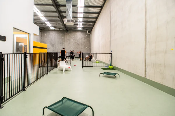 DOGCITY WEBSITE-32.jpg