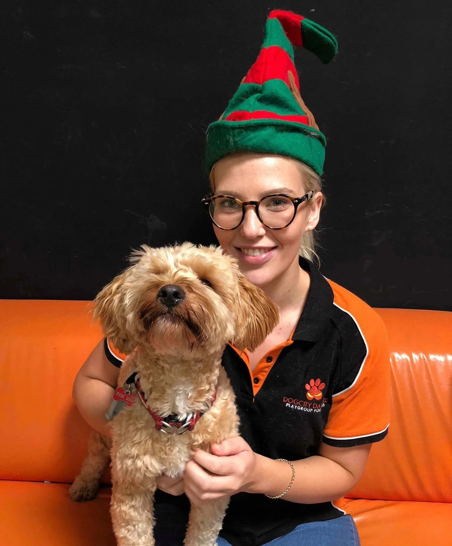 FELICITY : WEST FACILITY MANAGER (CLOSING)  With a Bachelor of Animal Science under her treat bag, as well as years experience working in the Specialist Surgery department of one of Adelaide’s referral centres, Felicity isn’t short on dog knowledge. She’s creative and full of energy, the two perfect ingredients for a Dogcity Leader.