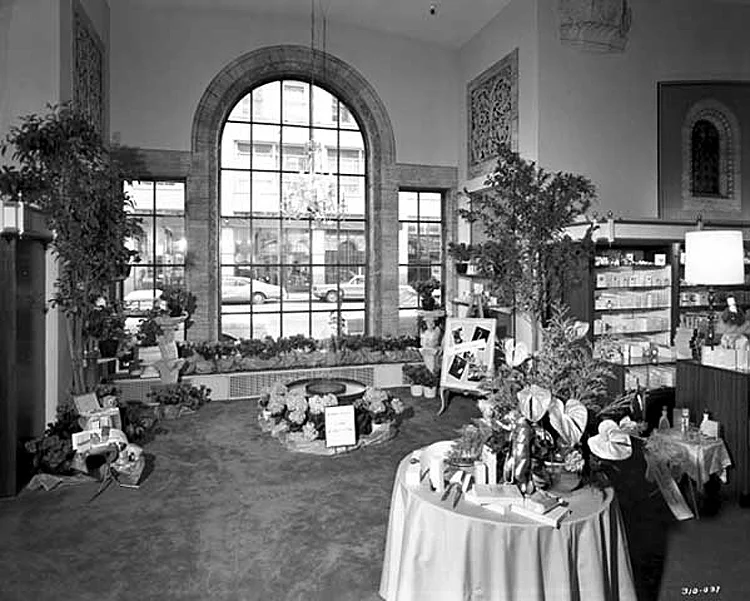 Interior of Young-Quinlan