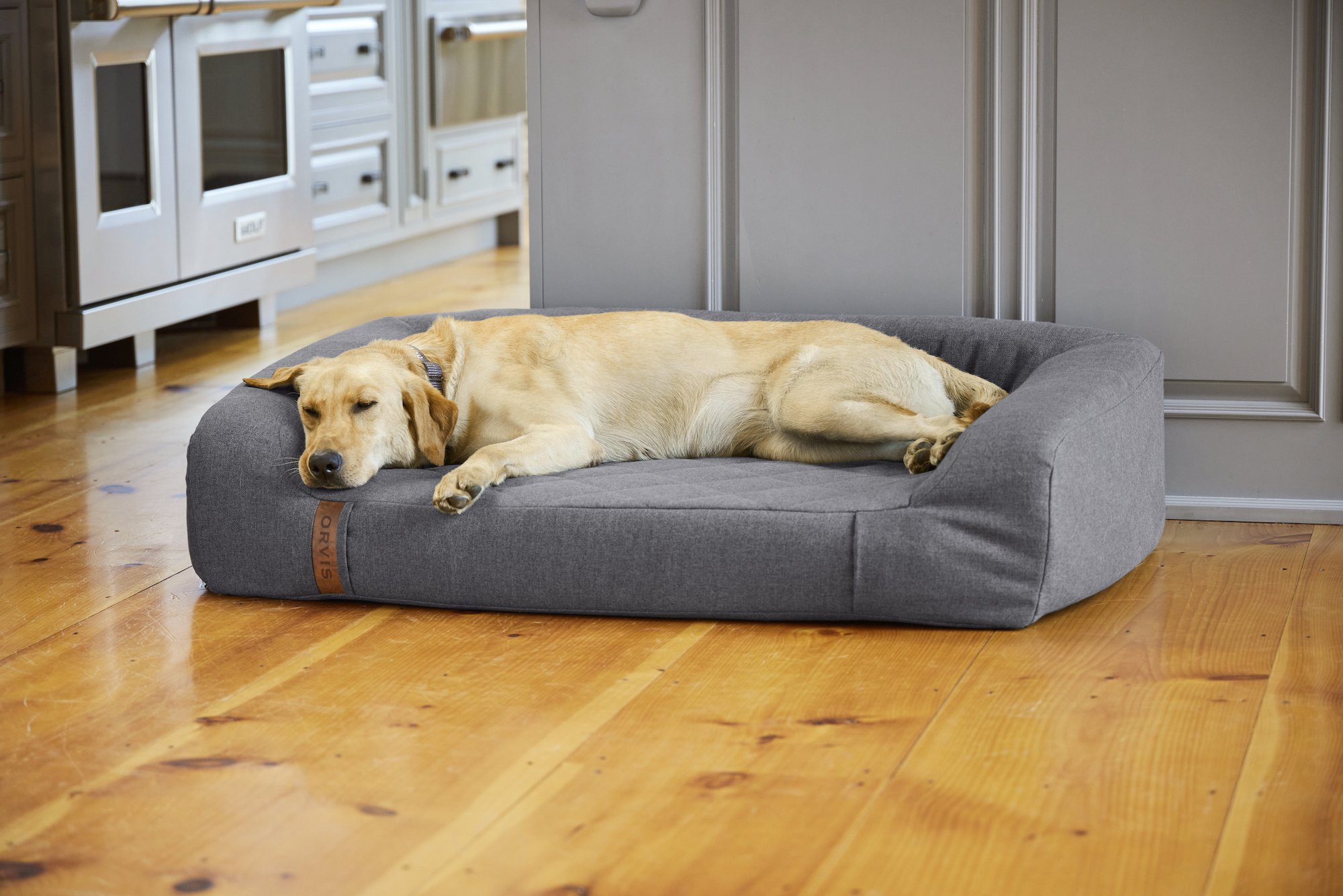 Orvis Launches Groundbreaking Therapeutic RecoveryZone® Dog Beds — rygr
