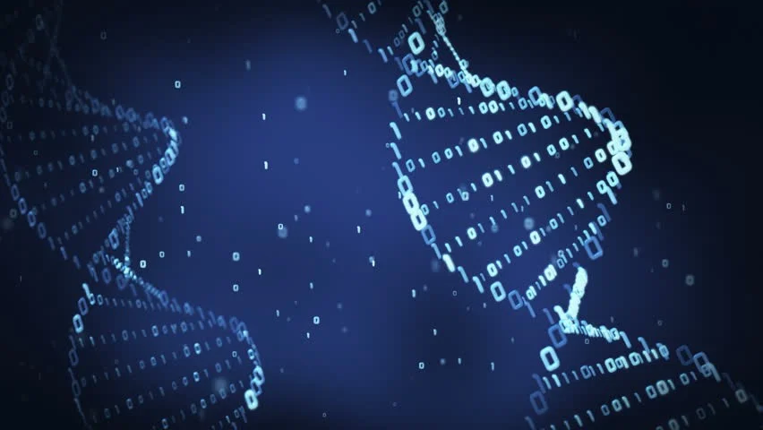 Planting Bitcoin — Species (1/4)