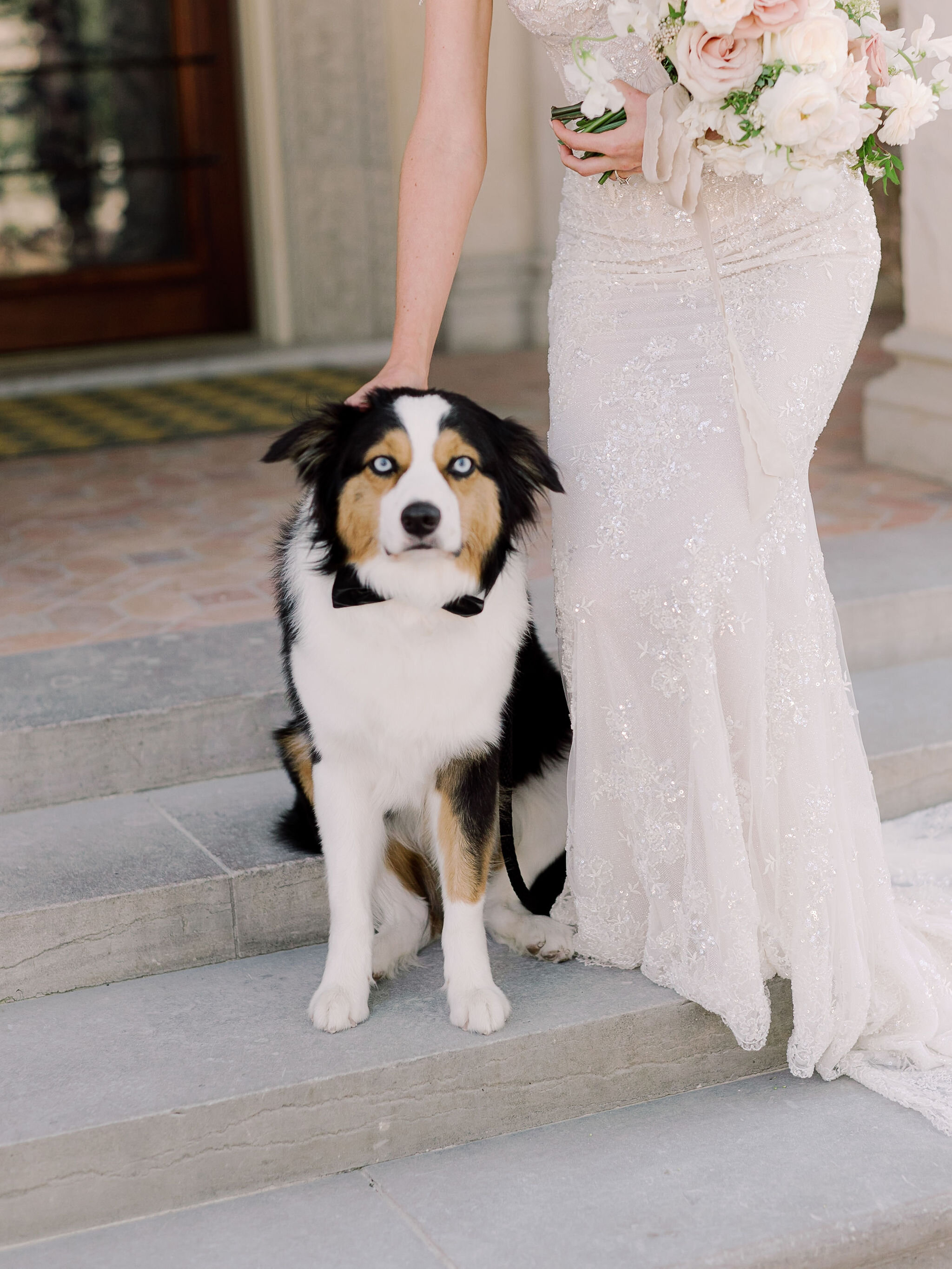 Pink-Champagne-Designs-Modern-Brides-and-pets