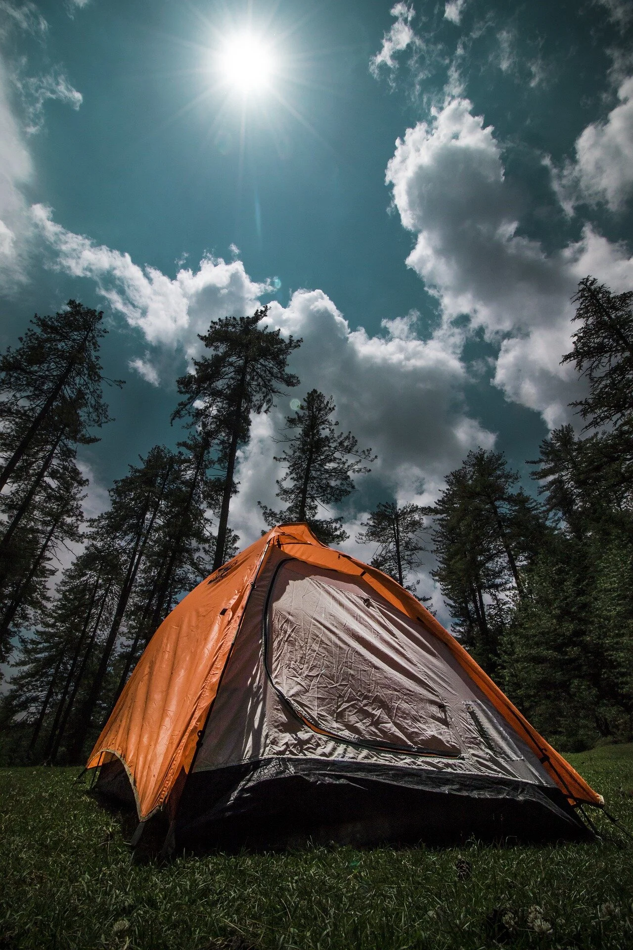 The Best Things About Camping