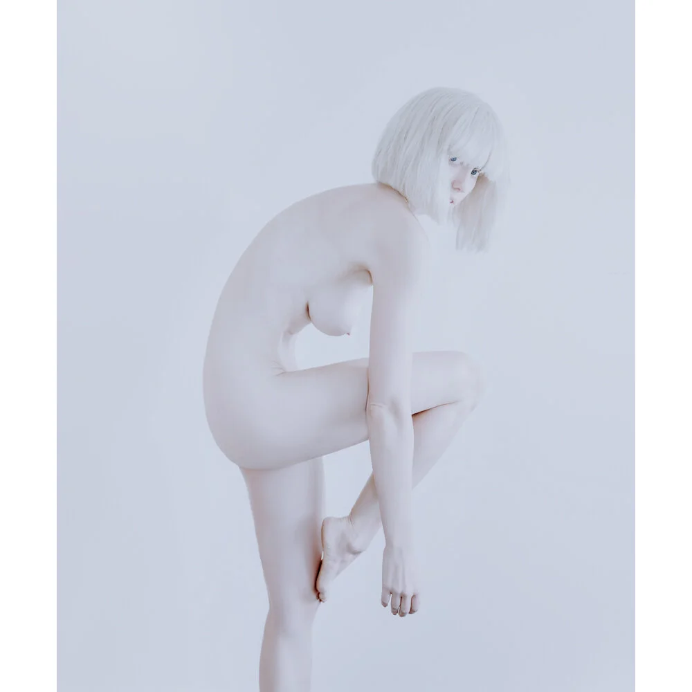 Chameleon 1