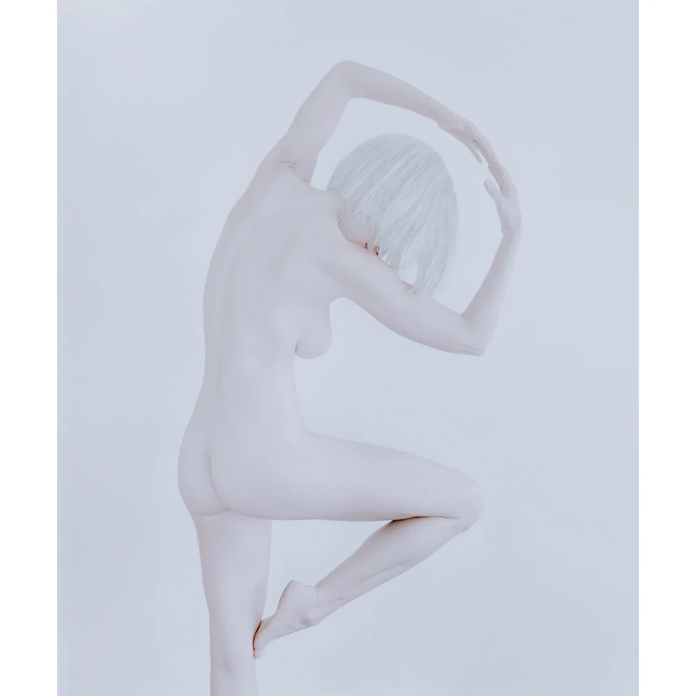 Chameleon 4