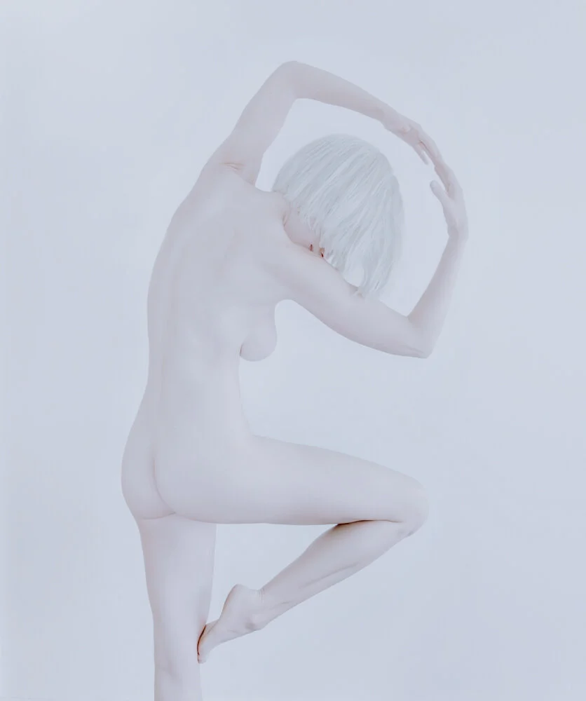 Chameleon 5.jpg