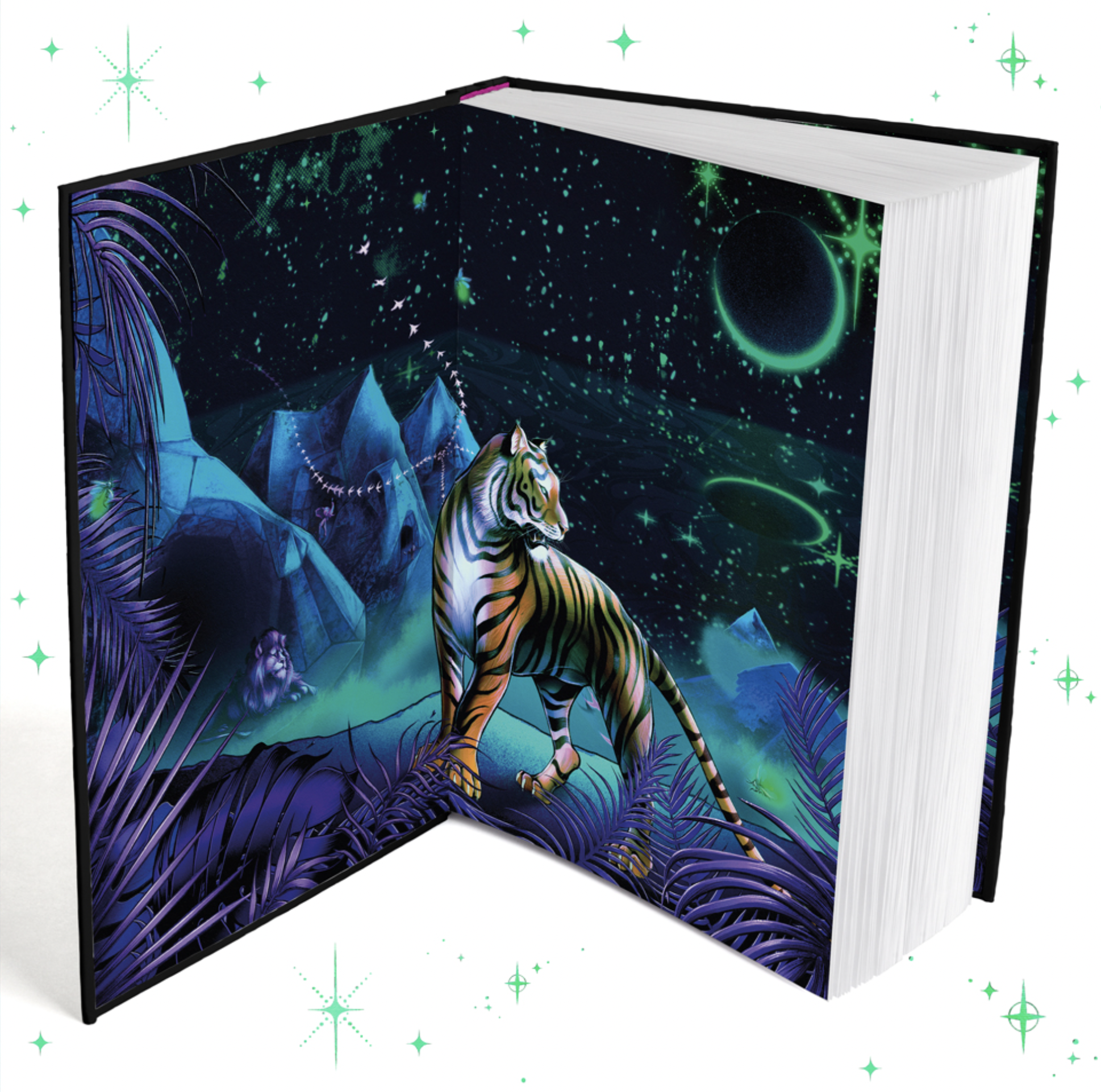 Screen Shot 2024-01-05 at 9.52.01 AM.png