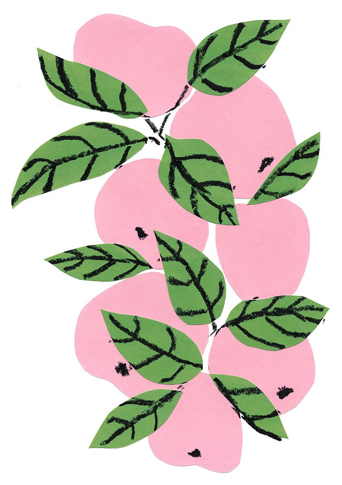 apples2.fluorescentyellow-fluorescentpink-cornflower-black.preview.jpg