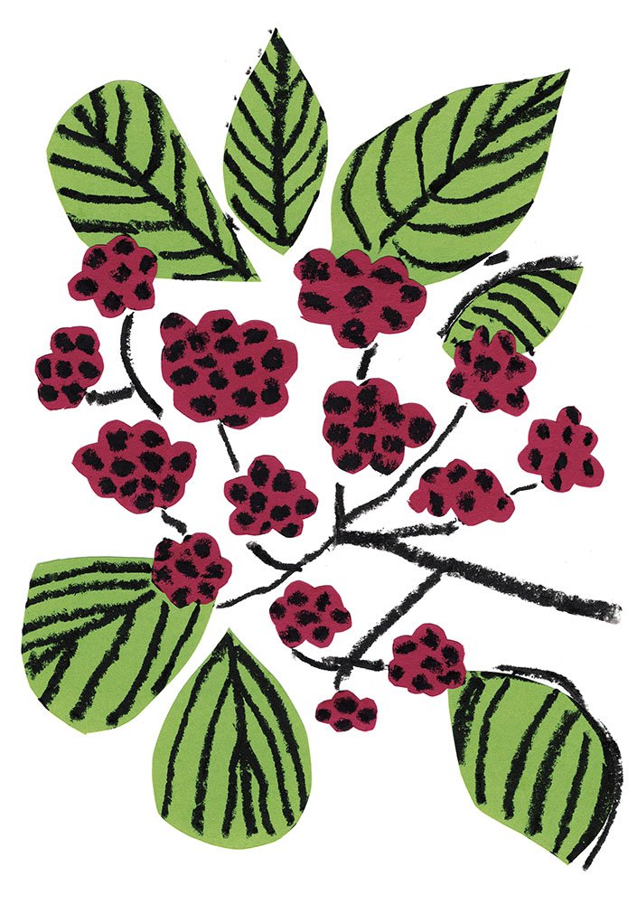 blackberries.fluorescentyellow-fluorescentpink-cornflower-black.preview.jpg