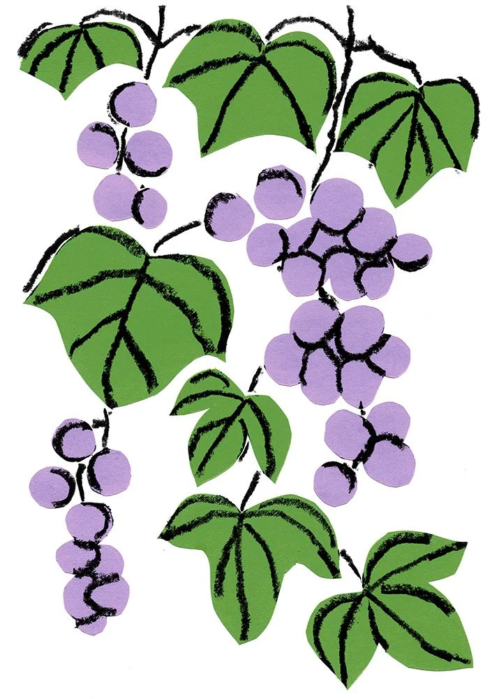 grapes.fluorescentyellow-fluorescentpink-cornflower-black.preview.jpg