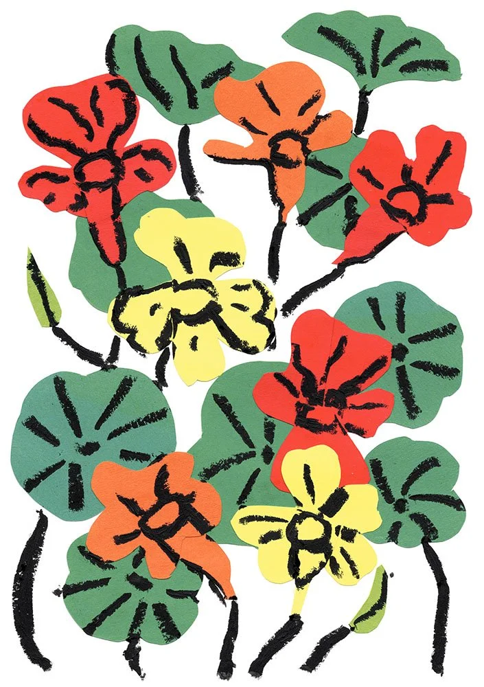 kkresse.fluorescentyellow-fluorescentpink-cornflower-black.preview.jpg