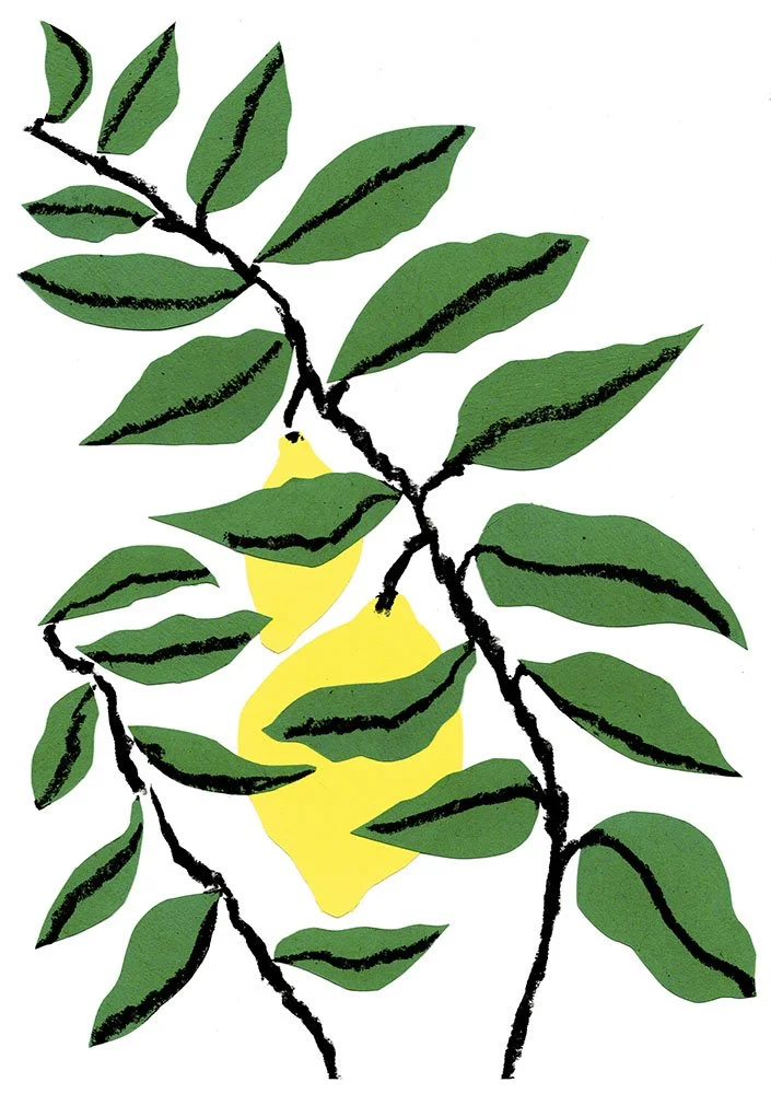 lemon leaves.fluorescentyellow-fluorescentpink-cornflower-black.preview.jpg