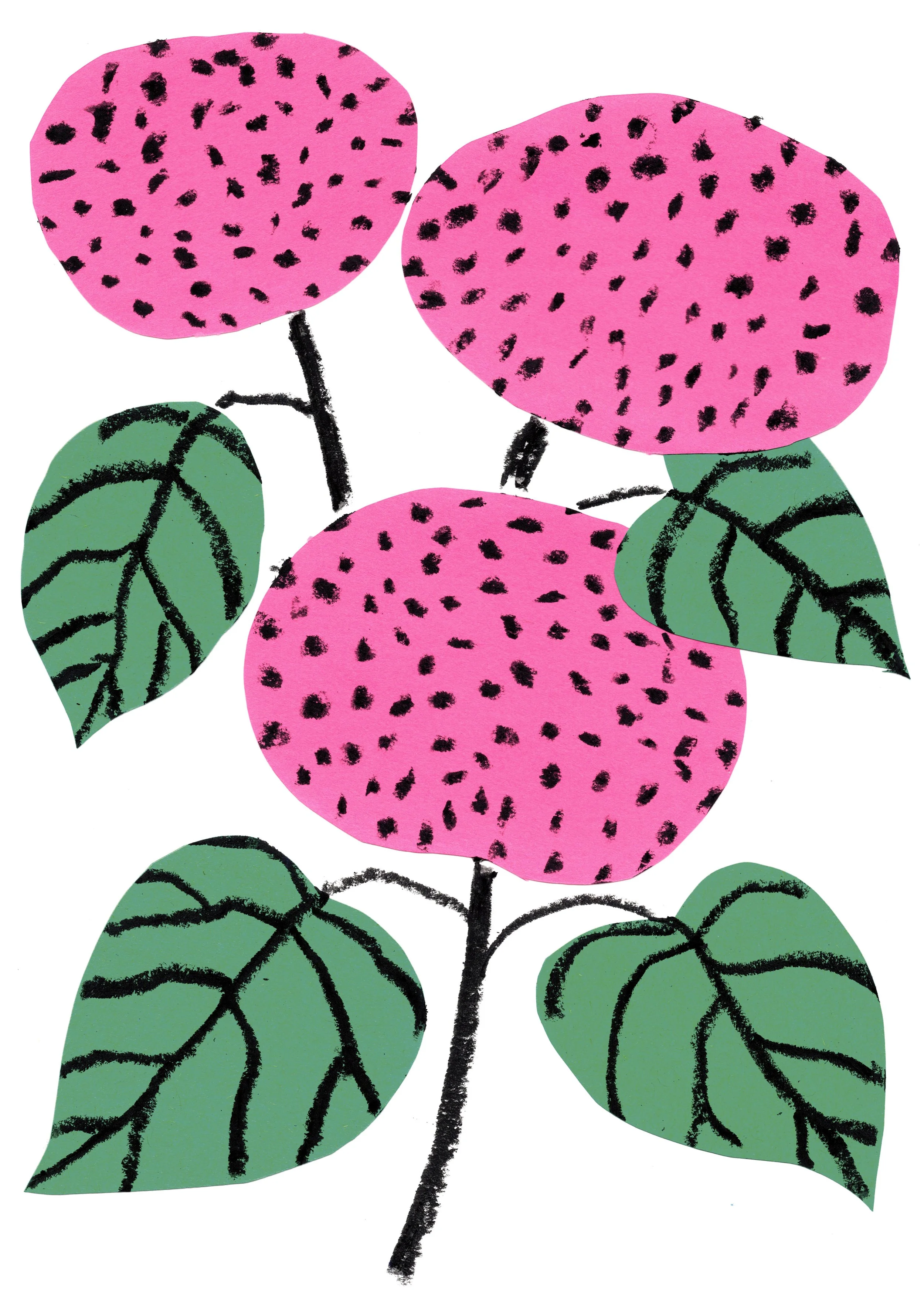hydrangeas.fluorescentyellow-fluorescentpink-cornflower-black.preview.jpg