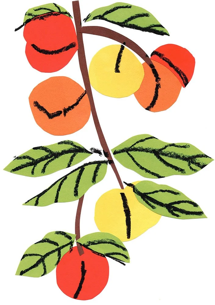 peaches.fluorescentyellow-fluorescentpink-cornflower-black.preview.jpg
