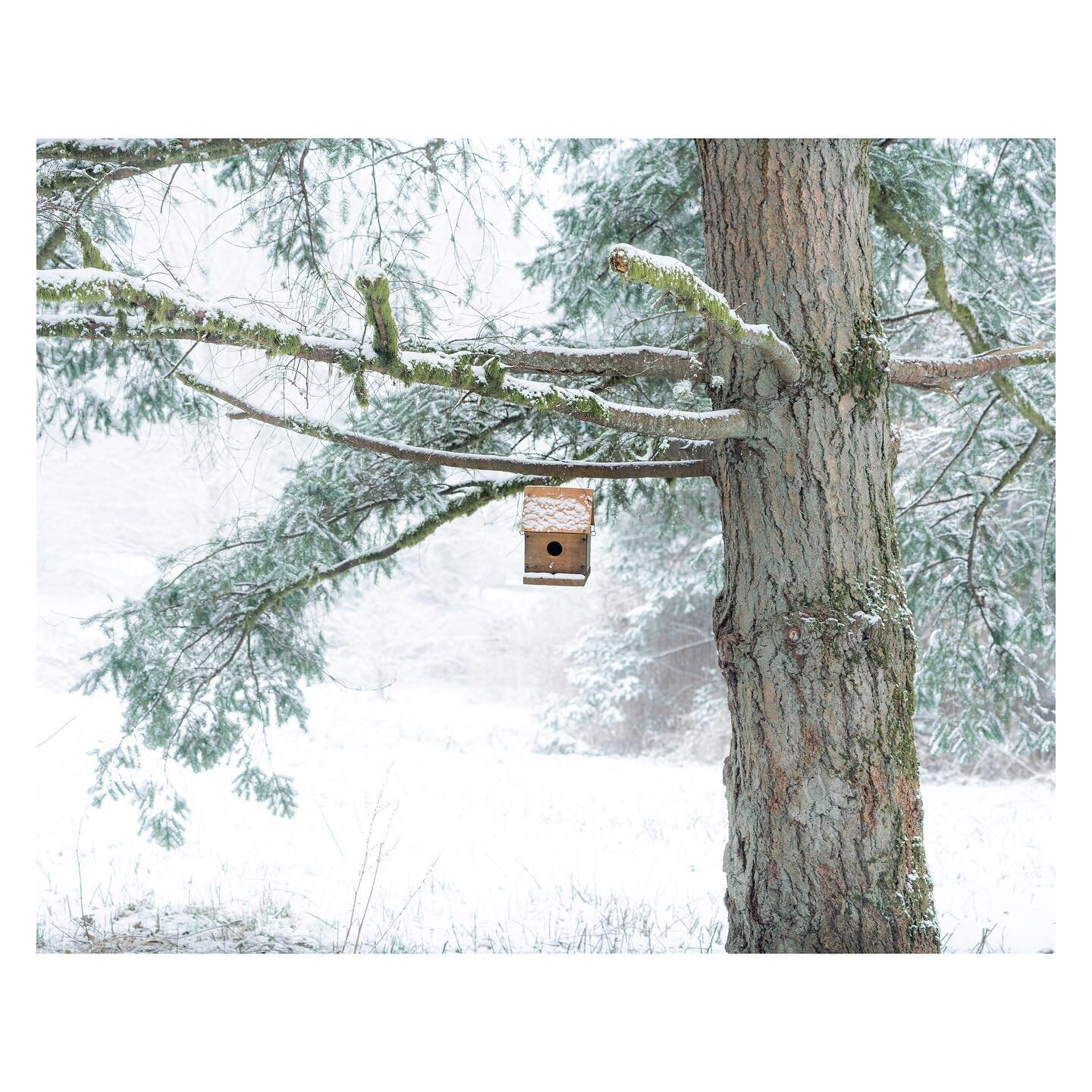 One bedroom available for spring. Young families welcome. 
.
.
.

 #nakedplanet #nature_brilliance #nature_perfection #nature_wizards #natureaddict #natureperfection #naturephoto #naturesbeauty #optoutside #ourplanetdaily #outdoortones #places_wow #r