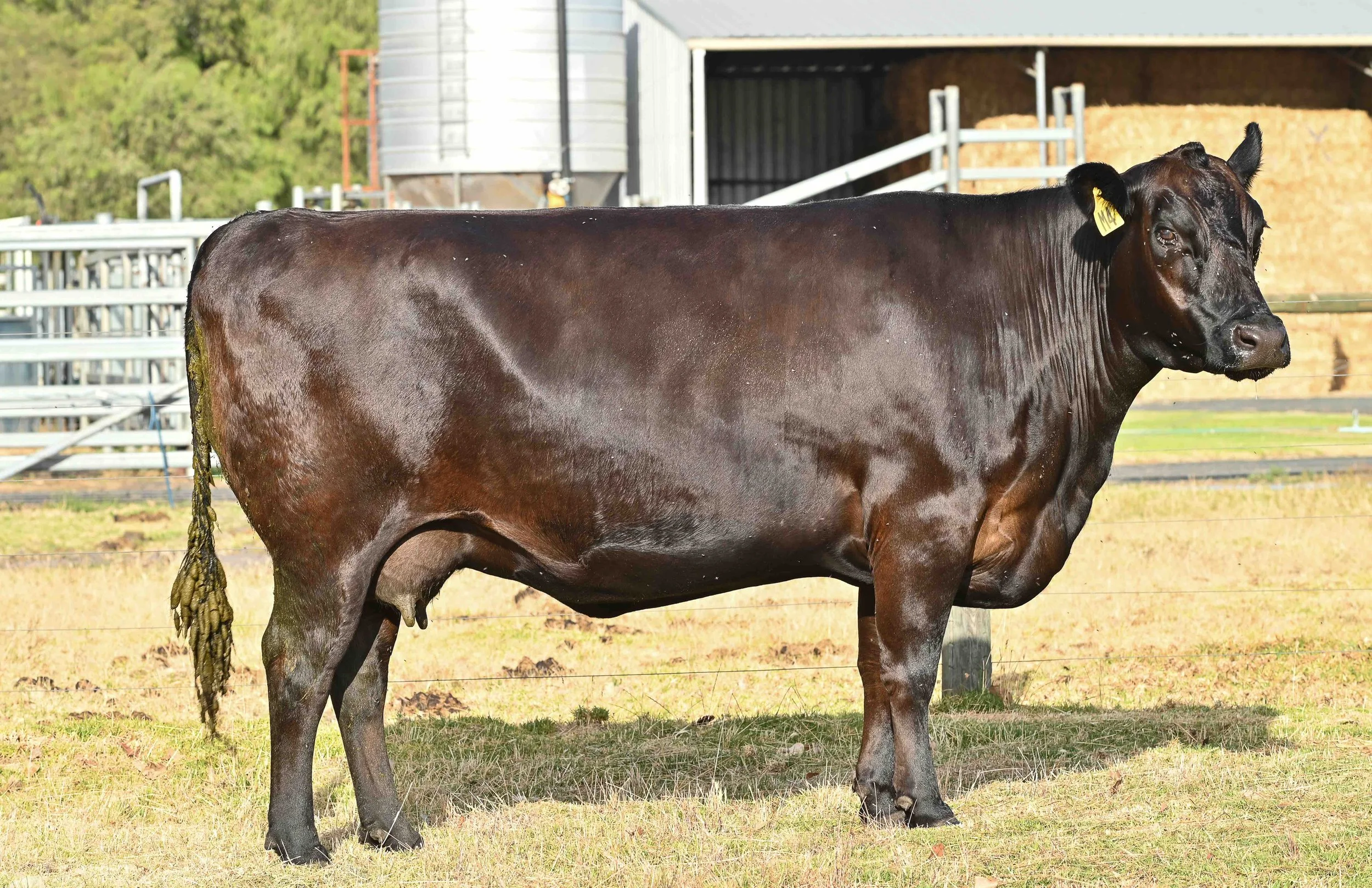 LOT 19 - LITTLE MEADOWS PRUE M4 ET #