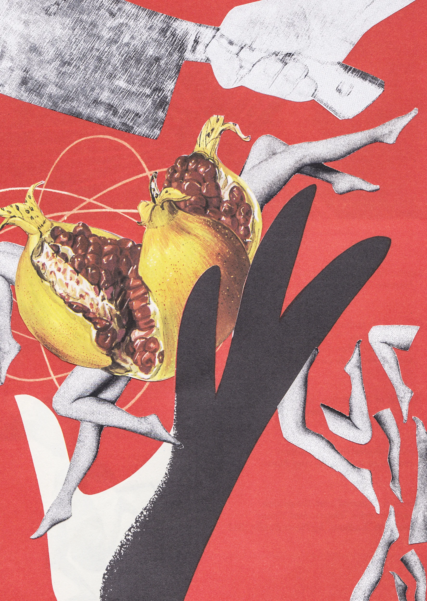 TNUC cover artwork, self published book, 114 pages, 13x20 cms